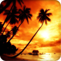Free HD Coconut Sky Wallpaper