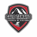 Galo Tamayo