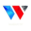 Wasafi Tv : (Diamond Platnumz,harmonize,rayvanny)