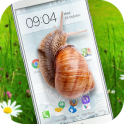 Snail in Phone best joke