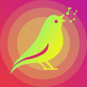 鳥の歌 着信音アプリ 無料