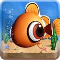 Peixe - Fish Live