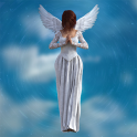 Psychic Angel Cards