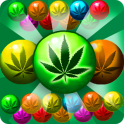 Weed Bubble Shooter Match 3 Games
