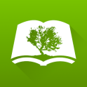 NLT Bible by Olive Tree