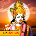 Krishna Aarti HD Sound