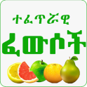 Islamic Ethiopian Traditional Medicine Amharic App