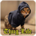 thug life vidéos drôles
