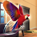 Pet Vet Parrot Simulator