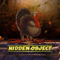 Hidden Object Game
