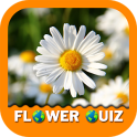 Flower Quiz Game 2020