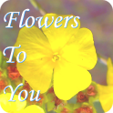 Flowers to You