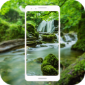 HD Forest Live Wallpaper