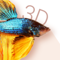 Betta Fish 3D Free