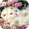 Chats Puzzle
