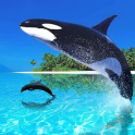 Baleine Fond'Ecran Animé