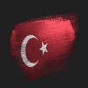 Toques turco 2016