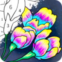Always Color by Number Adult Paint Colouring Game