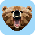 Grizzly VPN