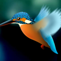 Kingfisher LiveWallpaper Trial