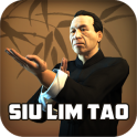 Wing Chun Kung Fu: SLT