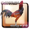 Chicken Fighter Indonésia