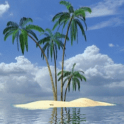 Palm In Tropical Island Live W