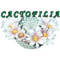 Cactofilia