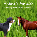 Animals for kids with horses