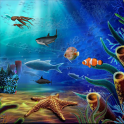 Aqua Life Free Live Wallpaper