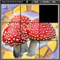 Magic Slide Puzzle Mushrooms 1