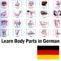 Körperteile auf Deutsch