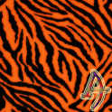 Xperien Tiger Theme
