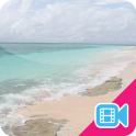 Beach Waves Live WallPaper