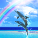 Dolphin Breeze Free