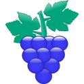 Grape (Vine-style recording!)