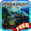 Hidden Object