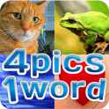 4 Pics 1 Word