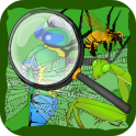 Find Hidden Stuff Game: Insect
