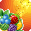 Fruit Splash - Frucht-Spritzen