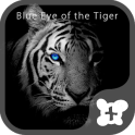 theme -Blue Eye of the Tiger-