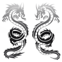 Dragon Tattoo Designs Ideas