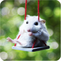 Hamster Puzzle Jigsaw for Kids