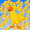 Five Little Ducks - SONG