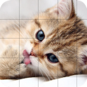 Cute Cat Sliding Puzzle