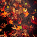 Autumn Live Wallpaper HD 2