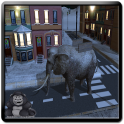 Kids Elephant City Voyage 2015