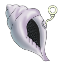 Magic Conch Shell