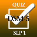 SLP Exam 01