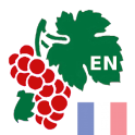Wine Encyclopedia France